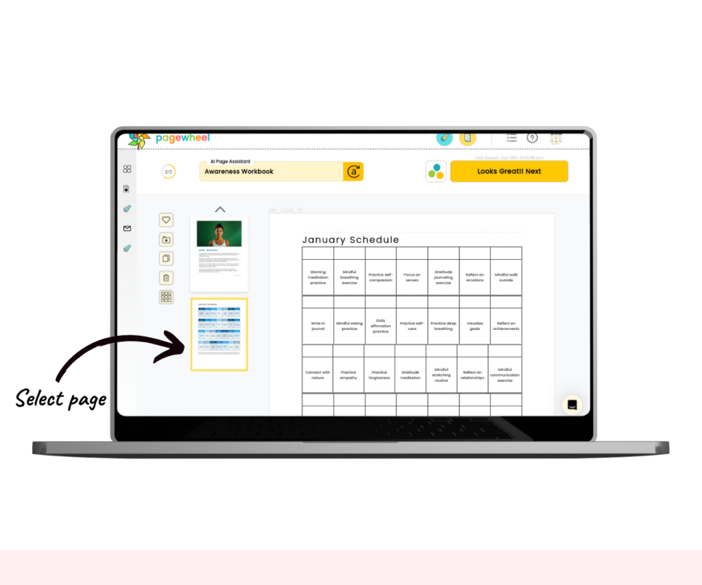 An annotated screenshot of the page editor with a page selected.